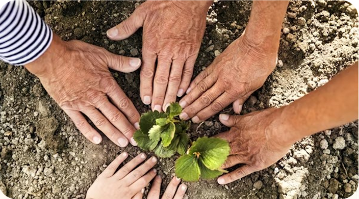 Environmental Responsibility